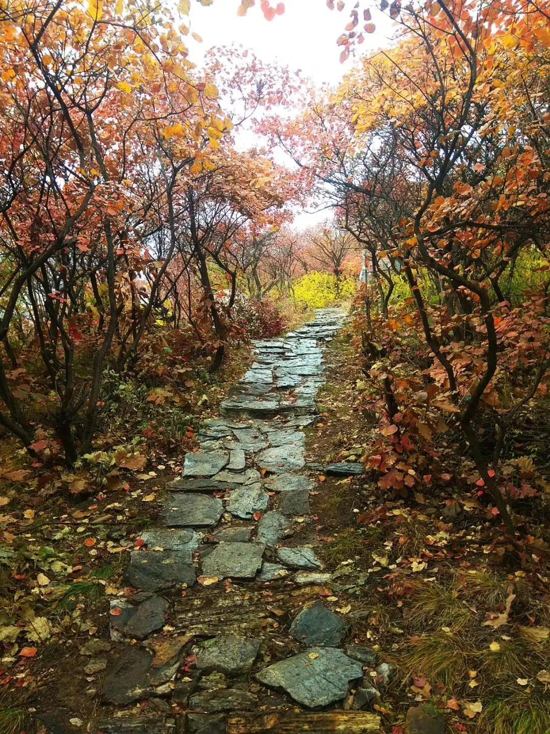 房山药王谷门票,房山药王谷风景区