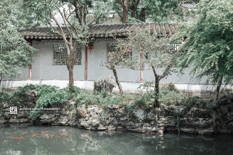 苏州旅游最不能错过的江南园林,留园拙政园是苏州著名的园林