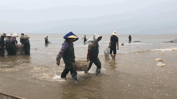 吴阳海鲜直播,吴阳金海岸出海直播