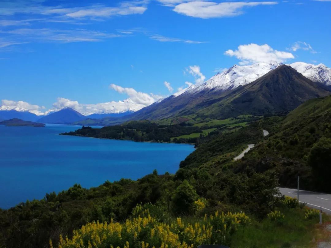 中国小伙去新西兰却横扫对手获得冠军，每份食材在手上都是艺术品