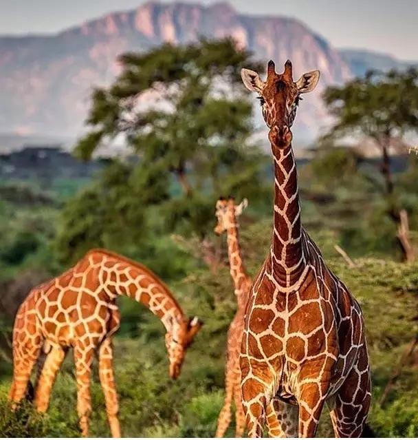 在非洲工作生活是怎样的体验？四个年轻人的故事