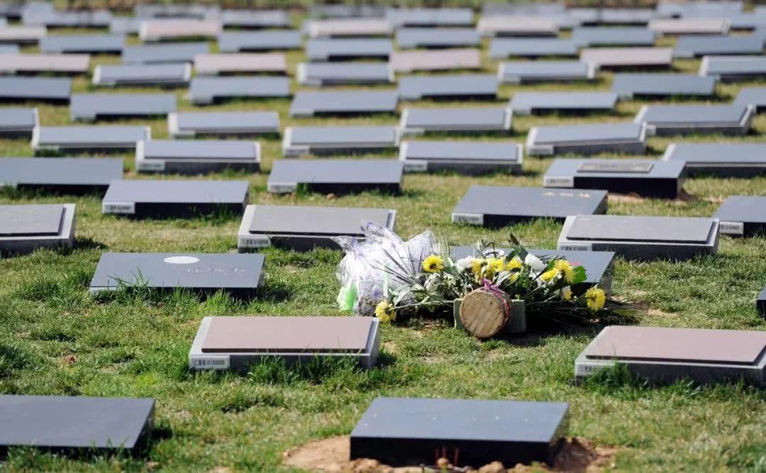 殡葬上市公司毛利率超80%,殡葬业毛利率有多高