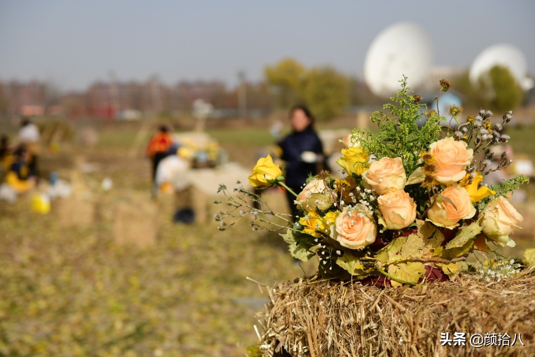 没有比利时花园游,来点比利时啤酒吧|随笔