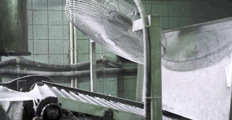 九龙城70年老字号|发哥最爱低调河粉店,老板:坚持香港制造