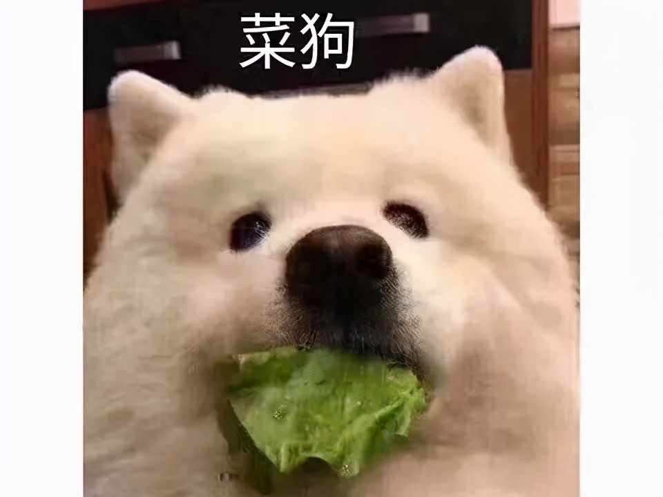 统计局调查队工资一月多少,国家统计局调查队工资由哪里发放