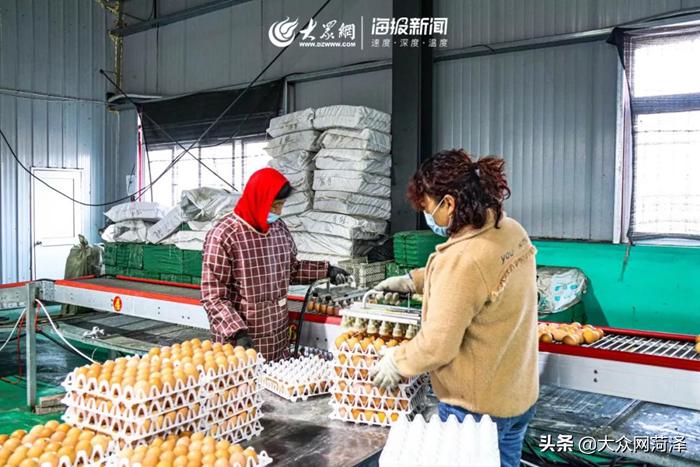 1元微力量捐款到武汉｜30枚爱心鲜鸡蛋26.8元，顺丰包邮到家