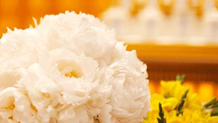 李佳琦推荐，意大利小*香众**水，帕尔玛之水，广州第①家，在太古汇