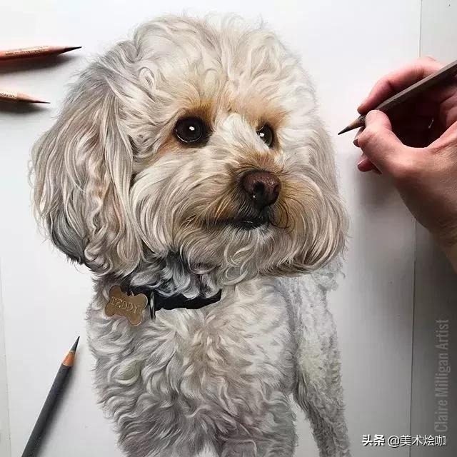 画的比照片还逼真,画的比照片还真实