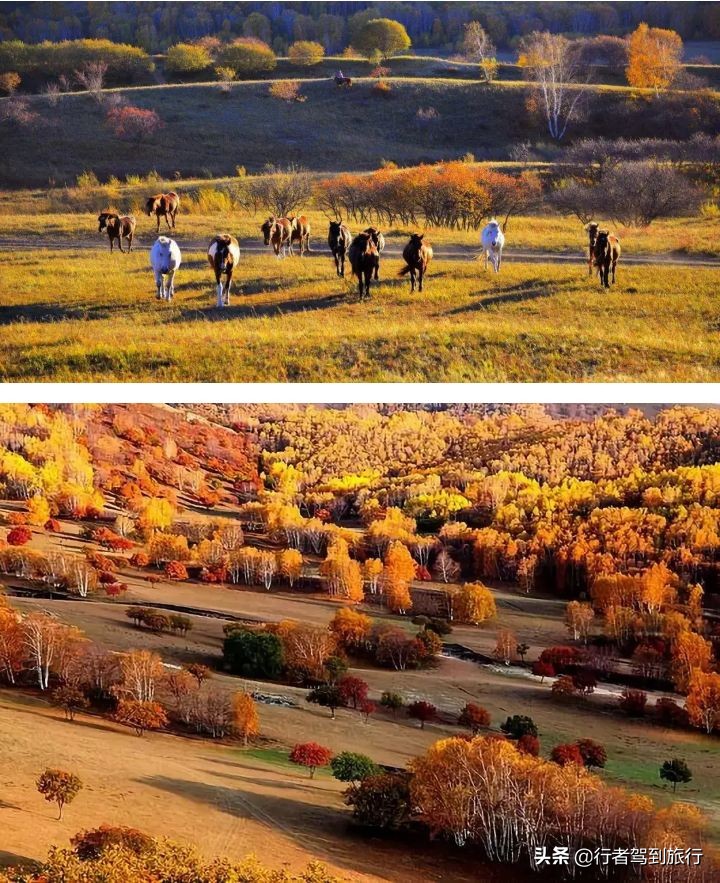 冬季克旗旅游自驾游攻略,克什克腾旗看秋色攻略