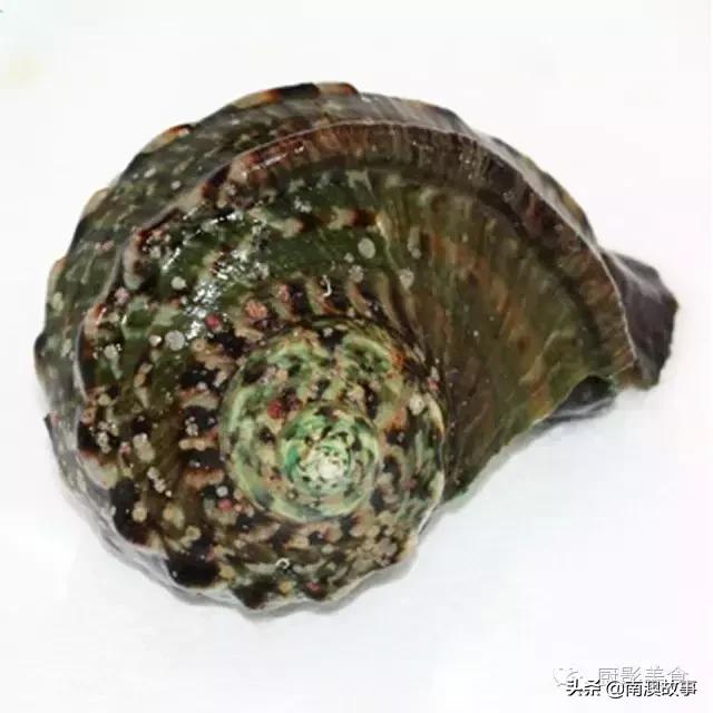 水煮贝壳类海鲜煮多久,海边海鲜用什么水煮好吃