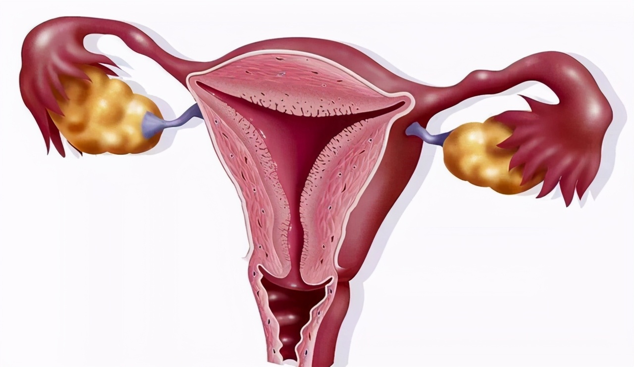 中医妇科疾病辨证论治,中医妇科疾病有哪些