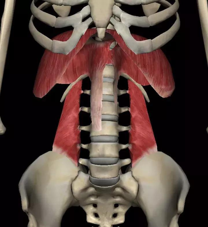 大哥洗脚完脚腰疼到不能走路,究竟是怎么回事?