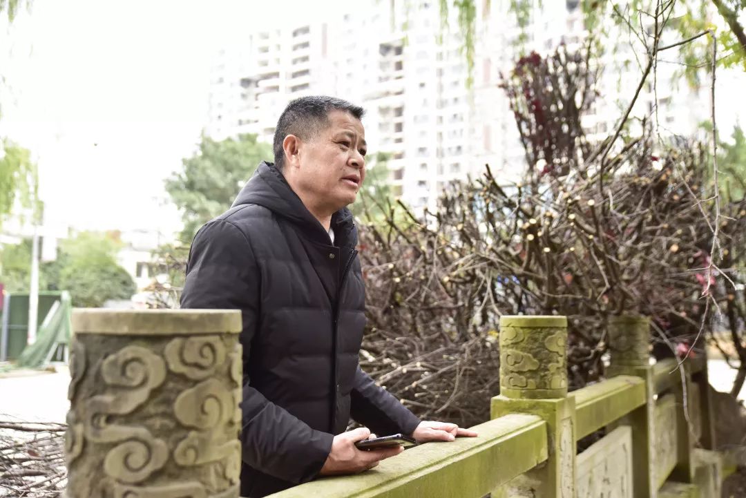 成华头条杉板桥,成华头条正能量