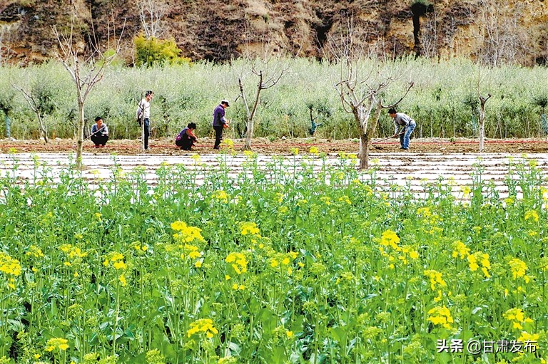 决战决胜脱贫攻坚,决战脱贫攻坚之年