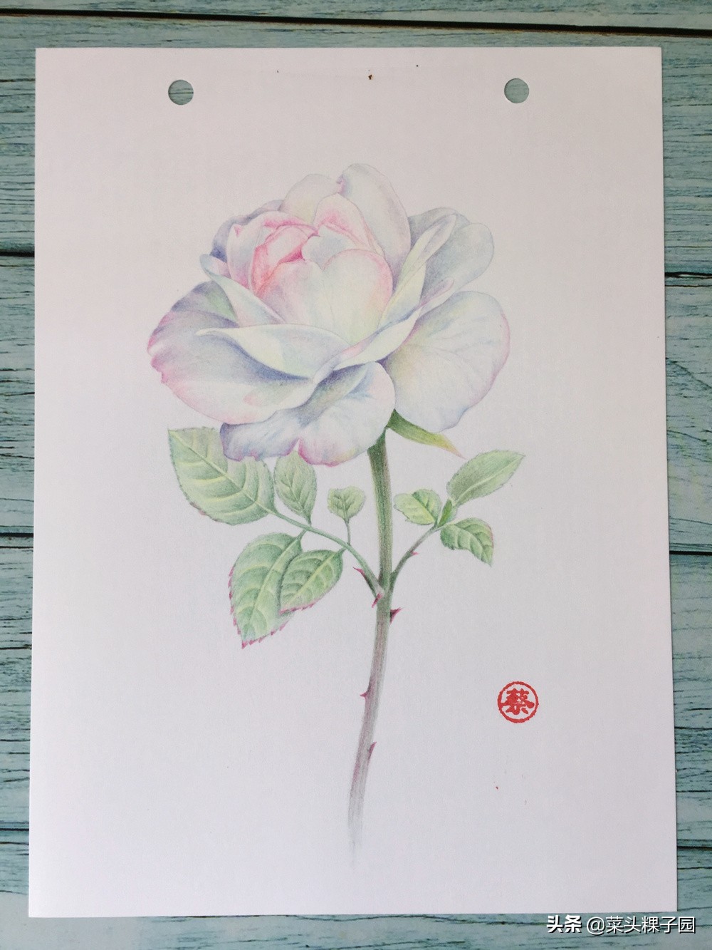 彩铅自学教程1,彩铅初学者适合买多少色的铅笔