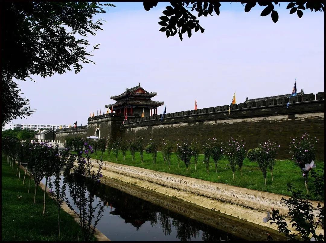 津南区打架,津南区打架视频