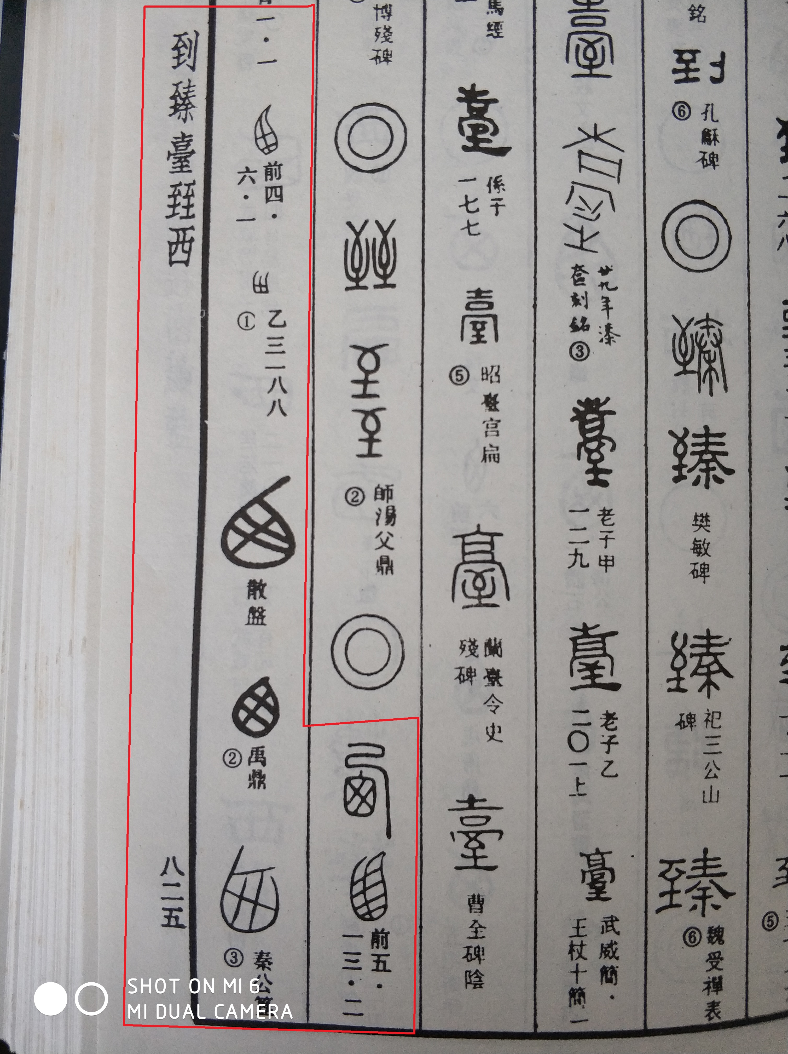 中国龙原型,中国龙的原型是什么