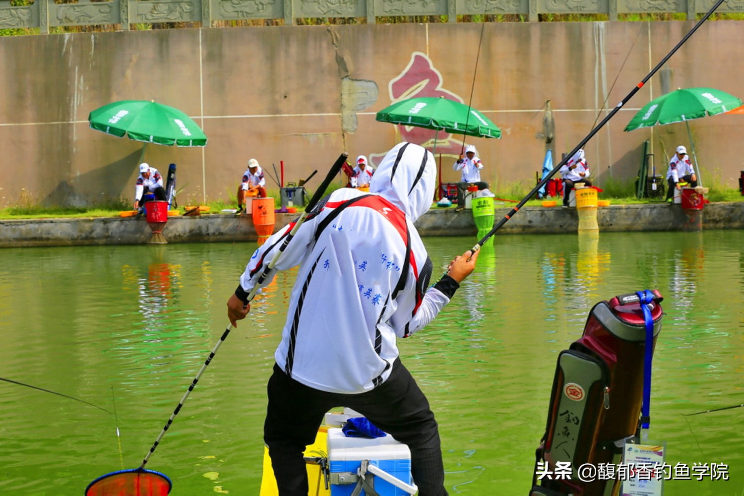 鱼饵各种小药的作用,哪些鱼饵效果好