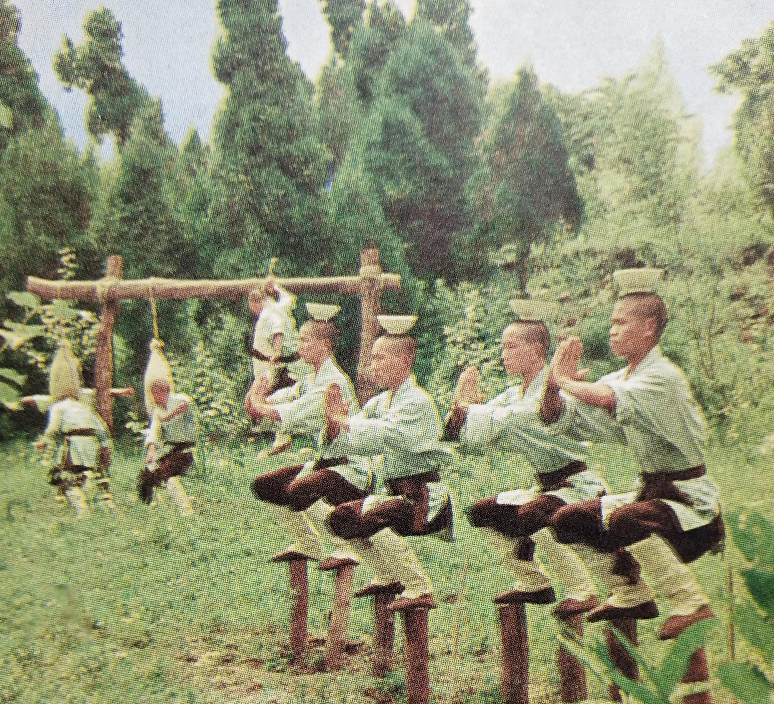 少林拳法实用技巧,少林拳实战技击教学