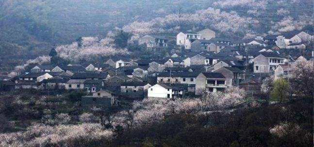 绍兴上虞最美乡村,上虞古村古镇