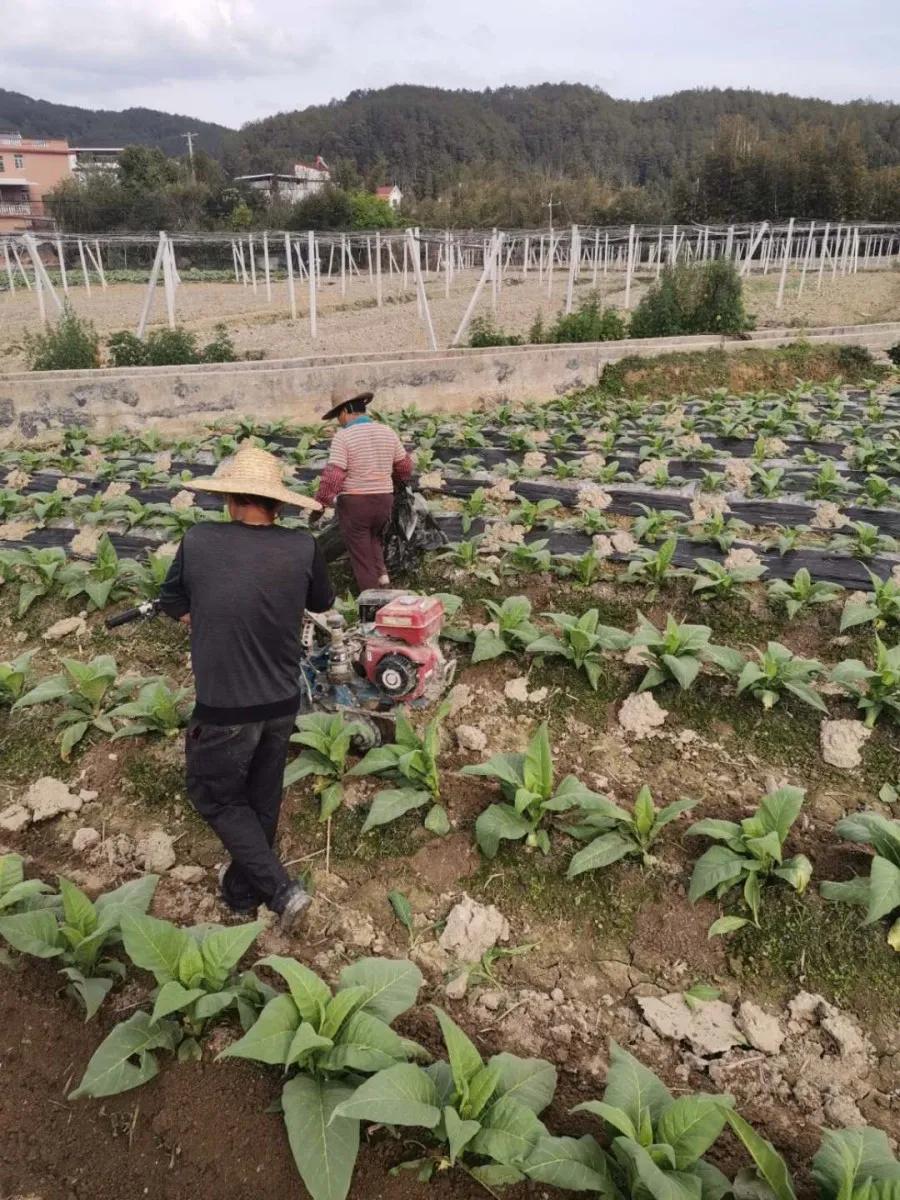 各地春耕备耕热潮,吹响春耕备耕集结号