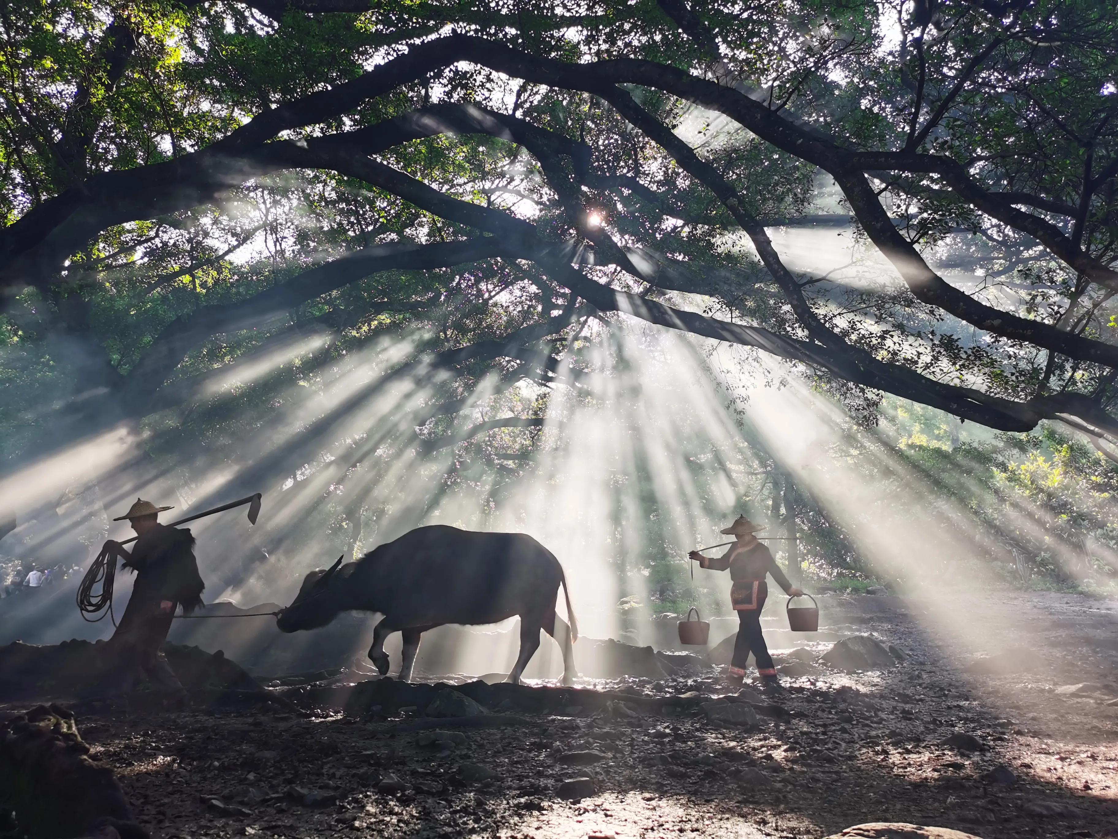 打卡霞浦古村落,霞浦拍摄日记
