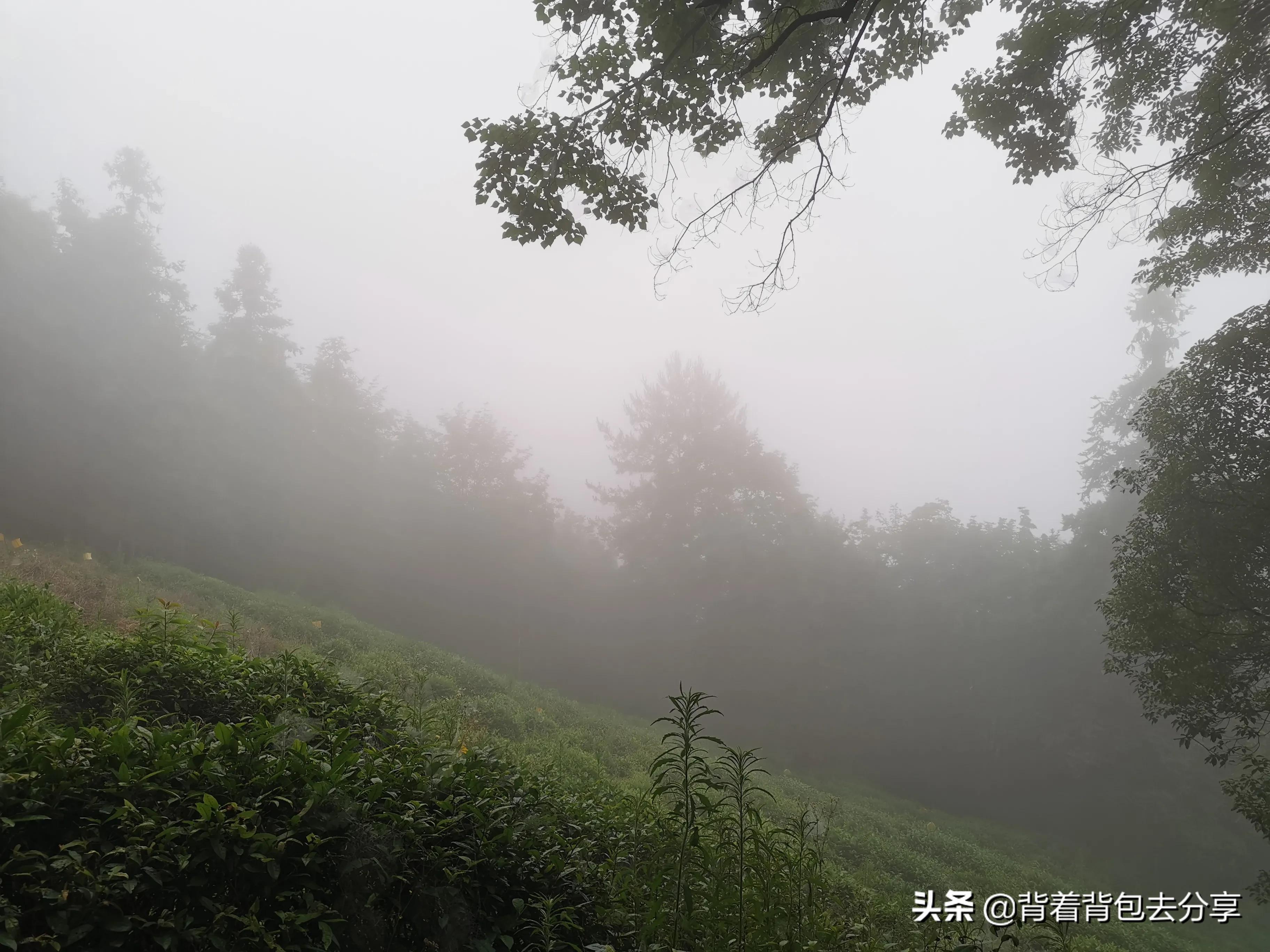 安徽十大旅游景点最新排名,安徽十大旅游景点最新