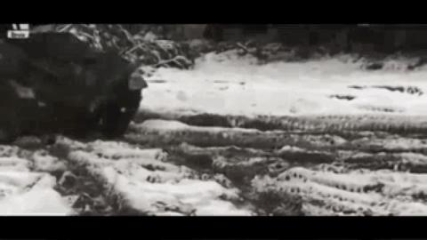 鼬鼠步兵战车,日耳曼鼬鼠坦克