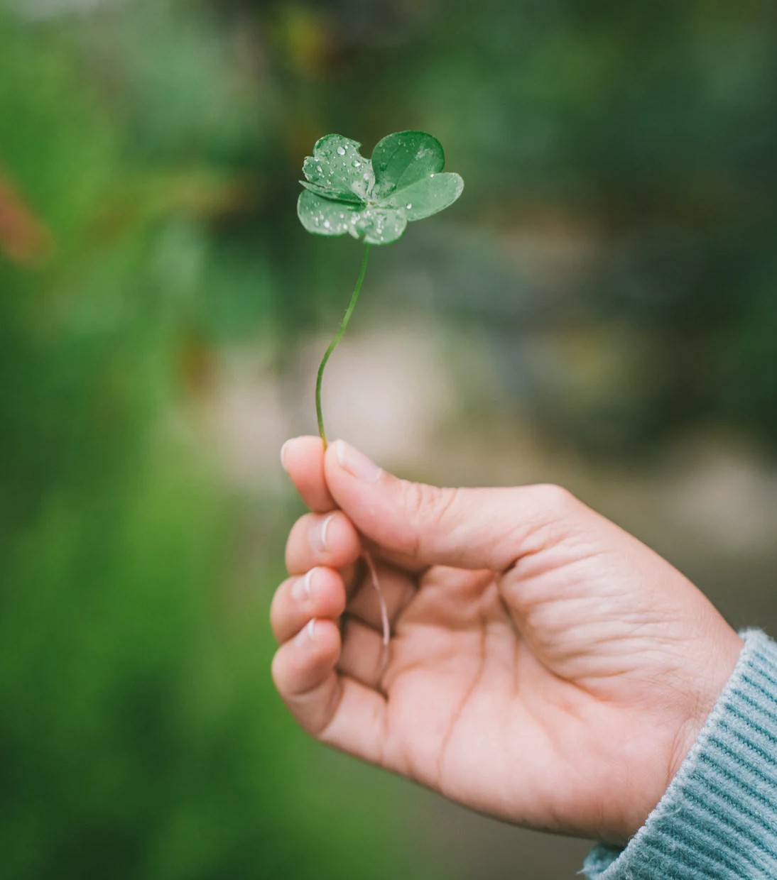 新解道德经全集,道德经第29章满山文化