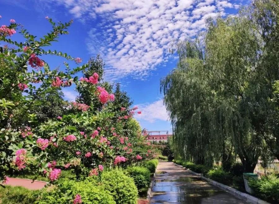 四川汽车职业技术学院汽车实训,成都汽车职业技术学校研学基地