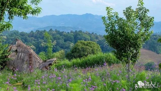 清迈攻略介绍,清迈攻略最全