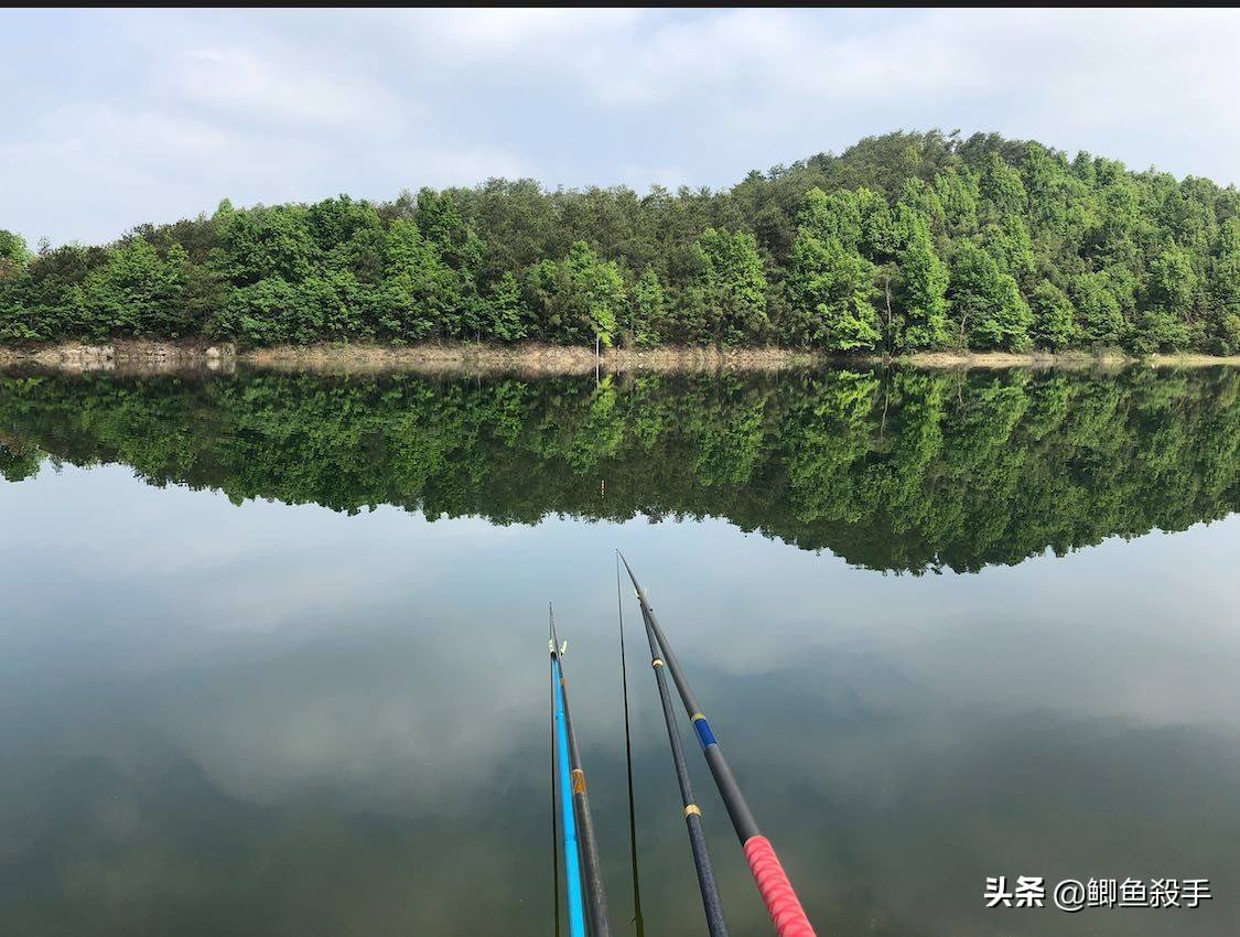 实体店和网上鱼竿哪个更便宜,鱼竿线上买还是实体店买更靠谱