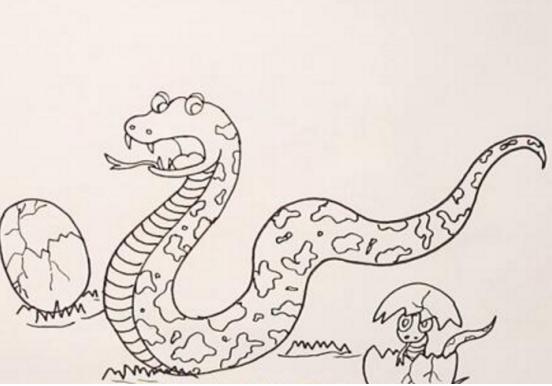 宝宝蛇简笔画简单又好看,儿童简笔画图片蛇