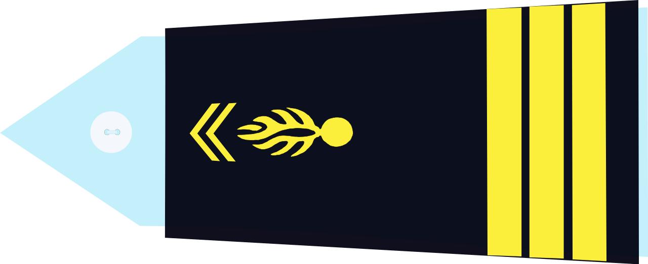 法国将军军衔等级,法国上校是什么军衔