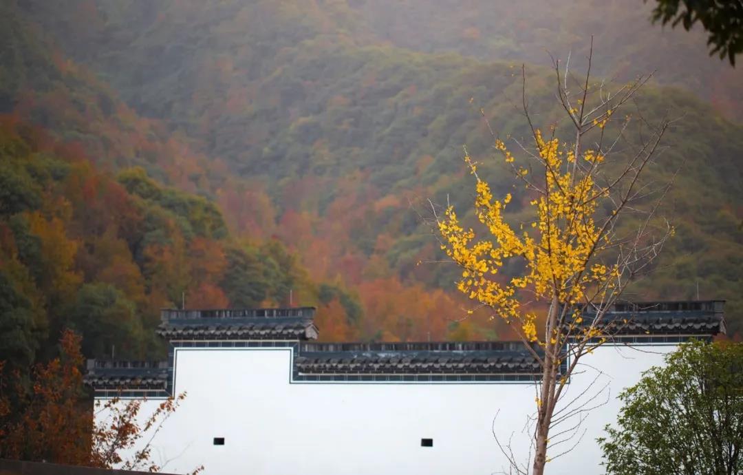 会于会稽山阴之兰亭意思是什么,会于会稽山阴之兰亭的山阴的意思