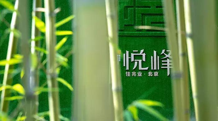 环京发展规划,环京最有发展潜力的地方