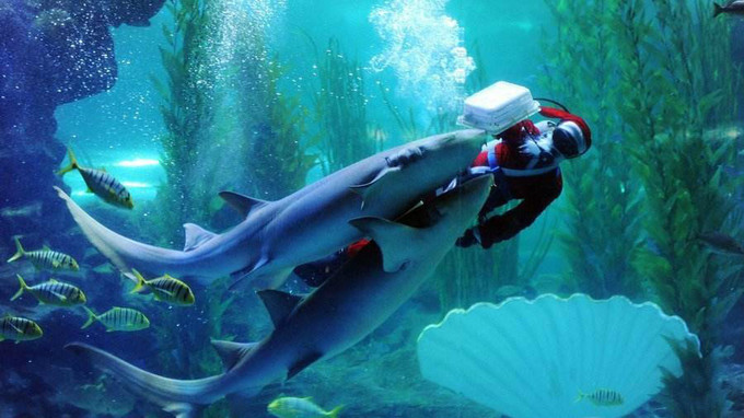 青岛沿海旅游景点,青岛精华步骤