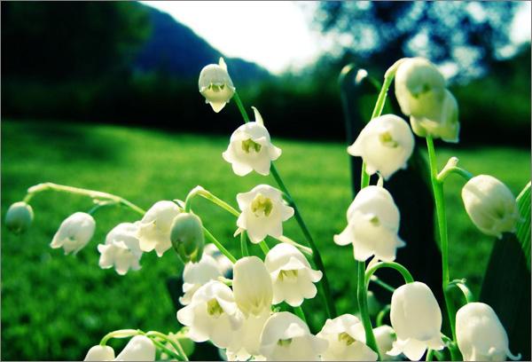 都匀第一季度gdp,都匀市2019年工业总产值是多少