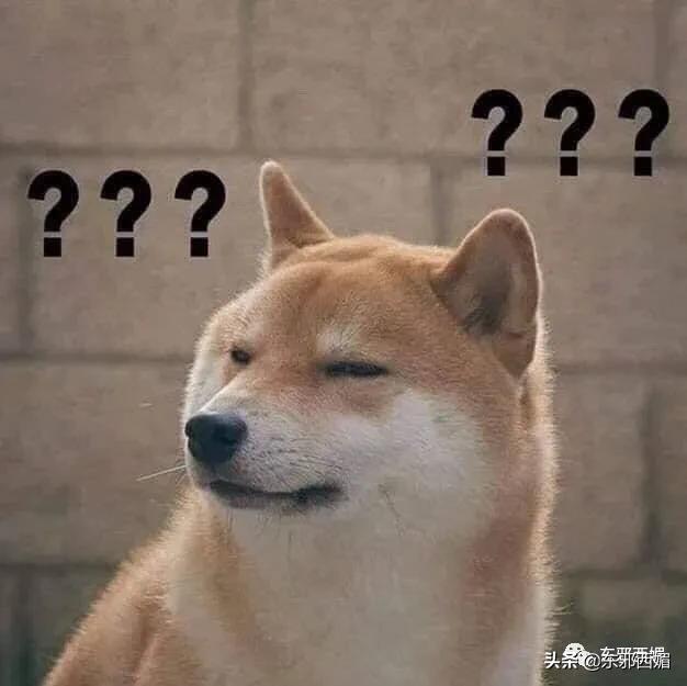 比迟了五年才道歉更让人迷惑的，是她的脸……