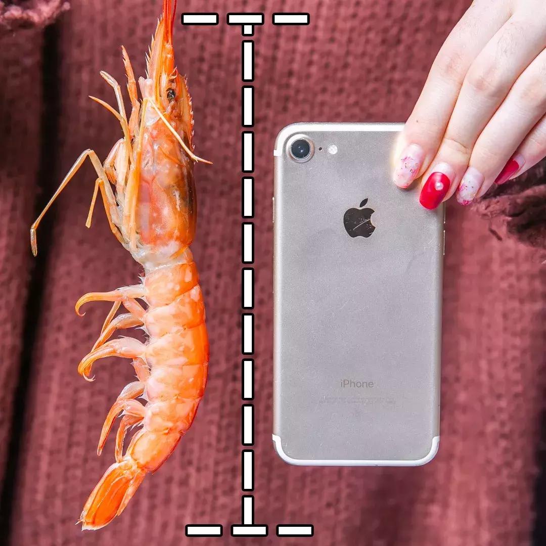 老板疯了18元自助火锅,老板疯了吃火锅继续八折优惠