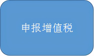 新手会计报税的详细流程,会计报税怎么抄
