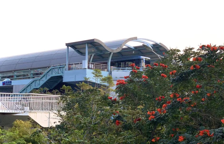 *光春**正好，快来搭乘开往春天的brt~