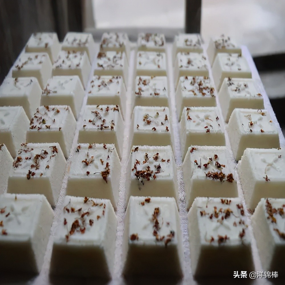 枫泾古镇怎么样,枫泾古镇景区简介