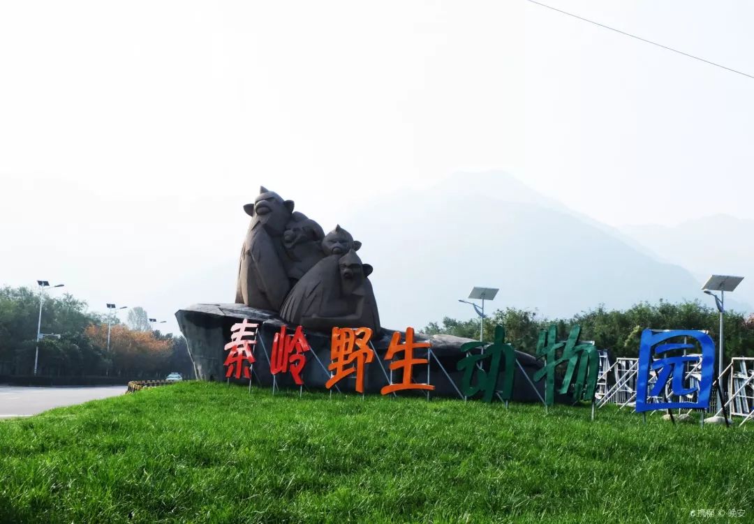 游玩半价票,雁荡山周末半价票