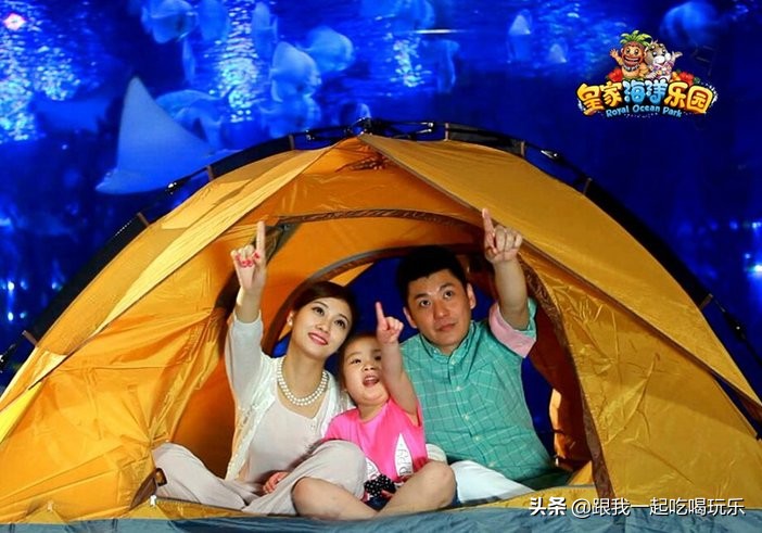 抚顺海洋馆外面有什么,沈阳和抚顺哪个海洋馆比较好