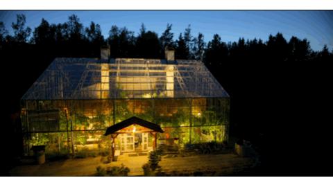 耗费十余年打造透明“自然屋”，瑞典爸爸终与自闭症儿子和解