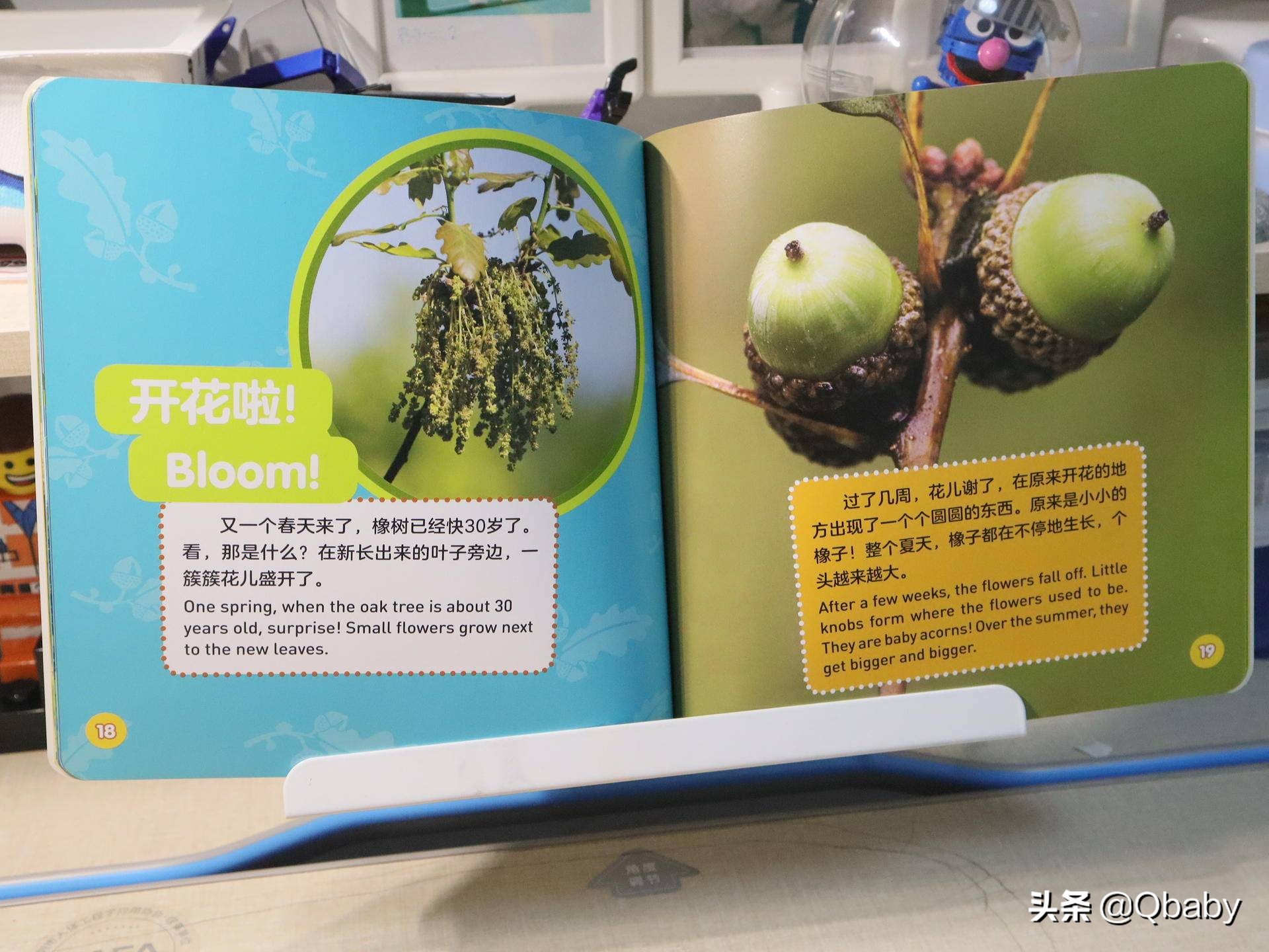 好书推荐一起玩吧绘本故事,康康绘本100本