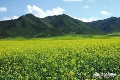 甘肃兰州最大的区,兰州最大的区是哪个区