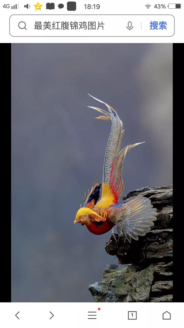 守岁梁子里赏析,守岁梁子里现代文阅读