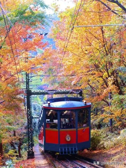 京都奈良神户详细攻略,大阪旅游是先去京都还是奈良